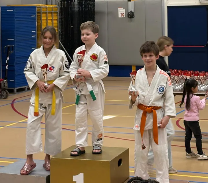 Stichting Shoganai — vechtsport-studio in Dronten — 2