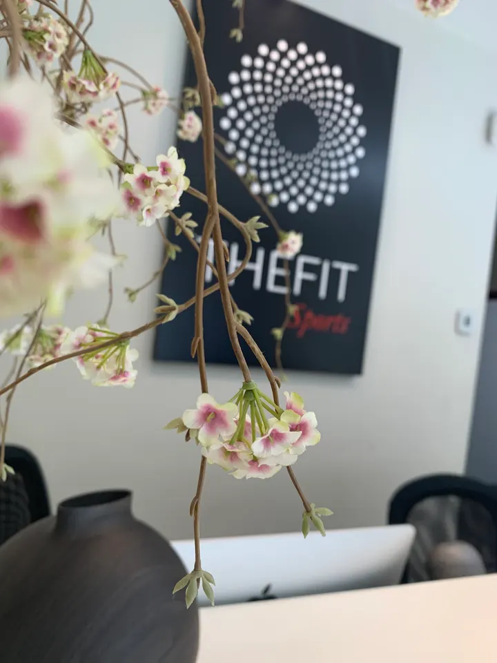 Thefitsports — Entrenamiento personal en San Martín, Vitoria-Gasteiz