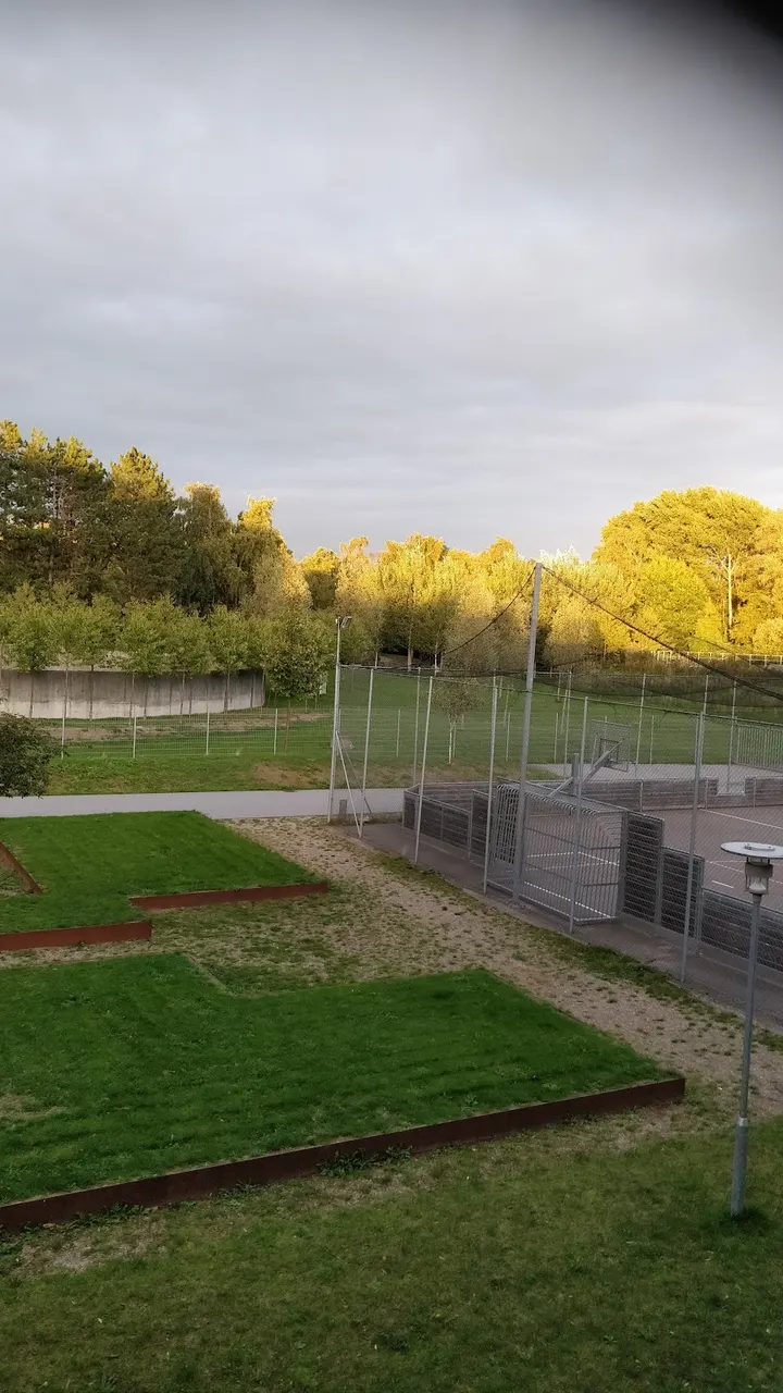 Gyngemosehallen — træningsstudio i København — 5