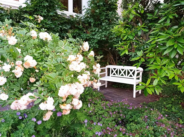 Rosenhaus Oldenburg — Wellness in Ziegelhof, Oldenburg