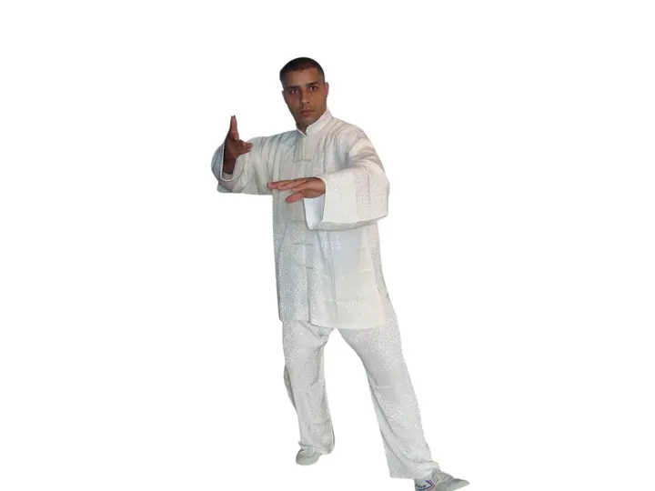 Xing Yi Men Kungfu Amsterdam Zuidoost — vechtsport-studio in Amsterdam — 4