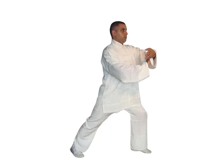 Xing Yi Men Kungfu Amsterdam Zuidoost — vechtsport-studio in Amsterdam — 6