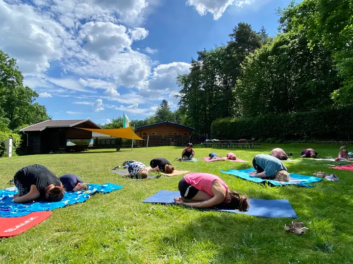 Down Dog Yoga Weißig — yoga-studio in Weißig, Dresden — 2