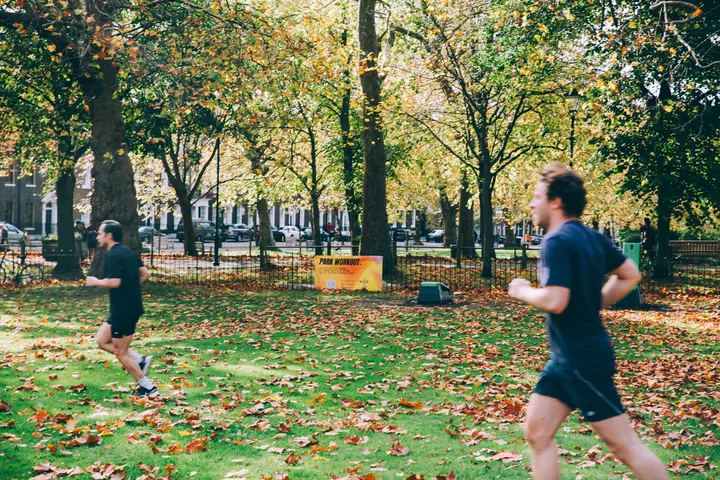 wild LDN — bootcamp-studio in Highbury, London — 2