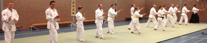 Budoschool Jishindo — Vechtsport in Spellewaard, Zaltbommel