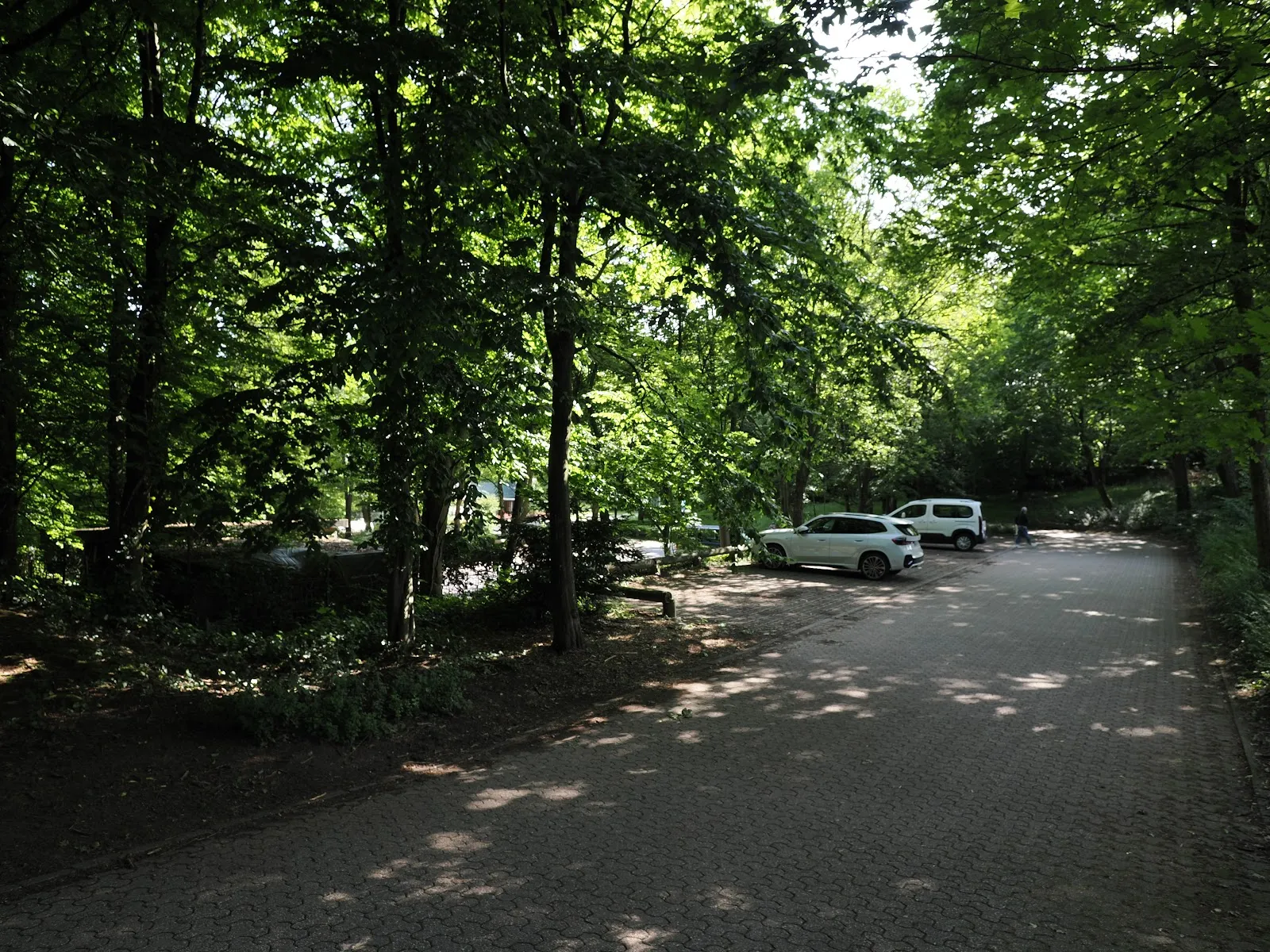 Tanzschule Bellinghausen Edgar Bellinghausen — tanz-studio in Gemarkung Elberfeld, Wuppertal — 2