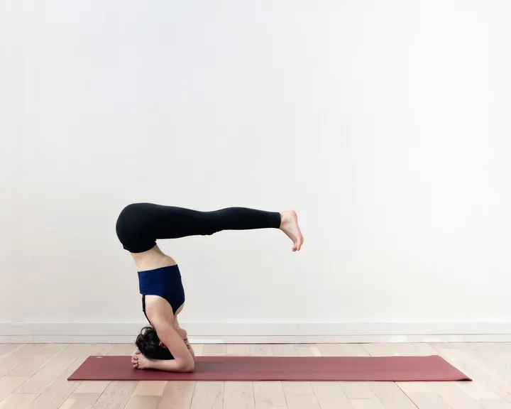 Ashtanga Yoga Shala Toulouse — yoga-studio à Toulouse — 4