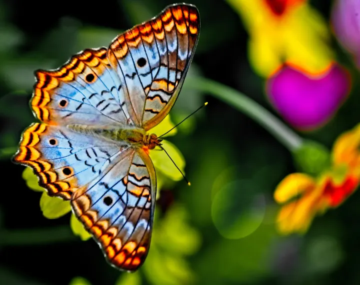 Your Meditative Life Academy — meditation-studio in Potsdam — 5