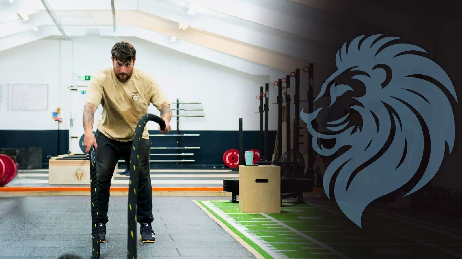 Chichester Strength And Conditioning — strength-studio in Chichester — 3