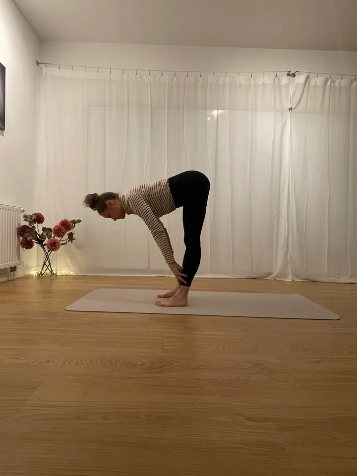 M.O.Y Yoga & Ballett Winterhude, Hamburg — yoga-studio in Hamburg — 4
