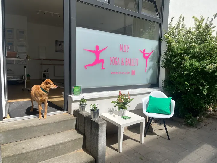 M.O.Y Yoga & Ballett Winterhude, Hamburg — Yoga in Winterhude, Hamburg