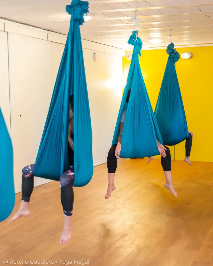 Yoga Nogal — yoga-studio à Coulmiers - Jardin des Plantes, Nantes — 2