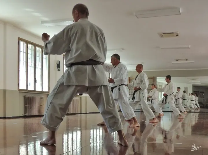 Shotokan Yudanshakai — arti marziali-studio a Umbria - Molise, Milano — 2