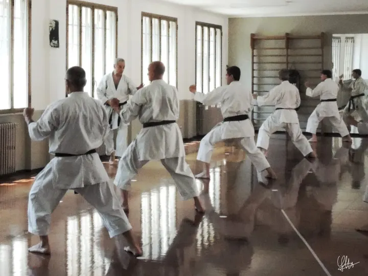 Shotokan Yudanshakai — arti marziali-studio a Umbria - Molise, Milano — 3