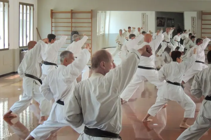Shotokan Yudanshakai — arti marziali-studio a Milano — 3