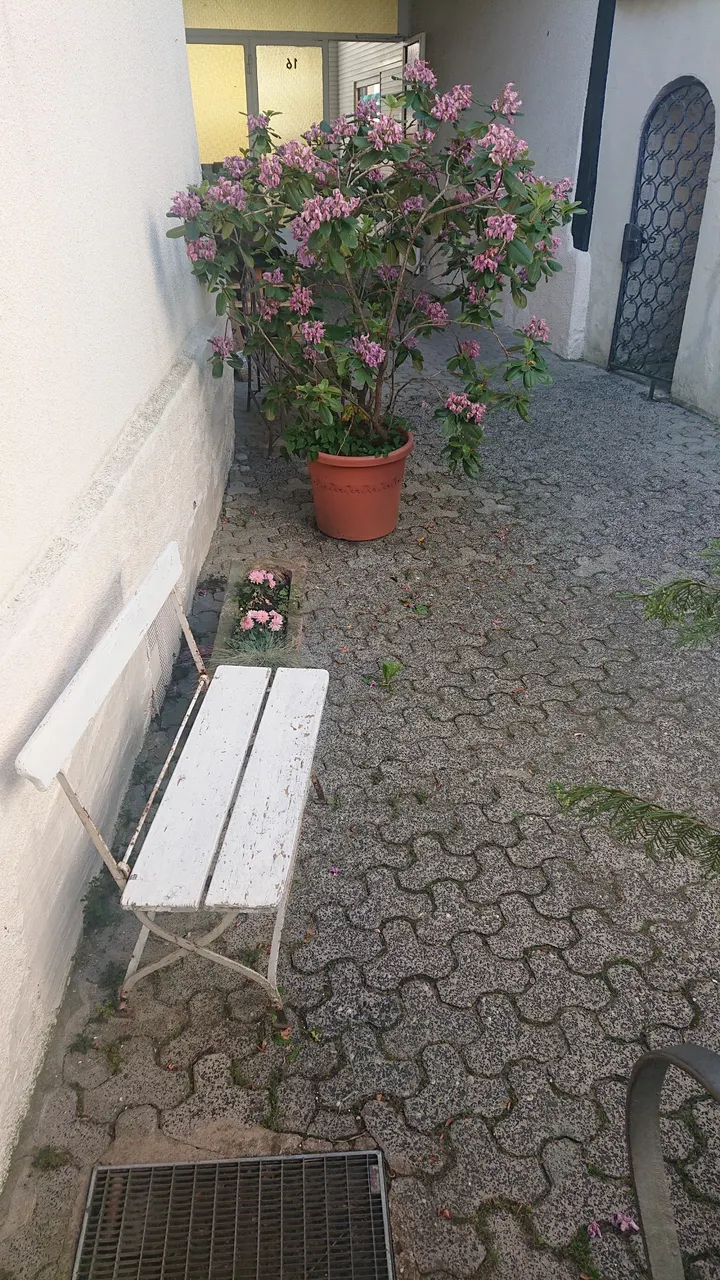 Yogakalypse — yoga-studio in Königstein im Taunus — 2