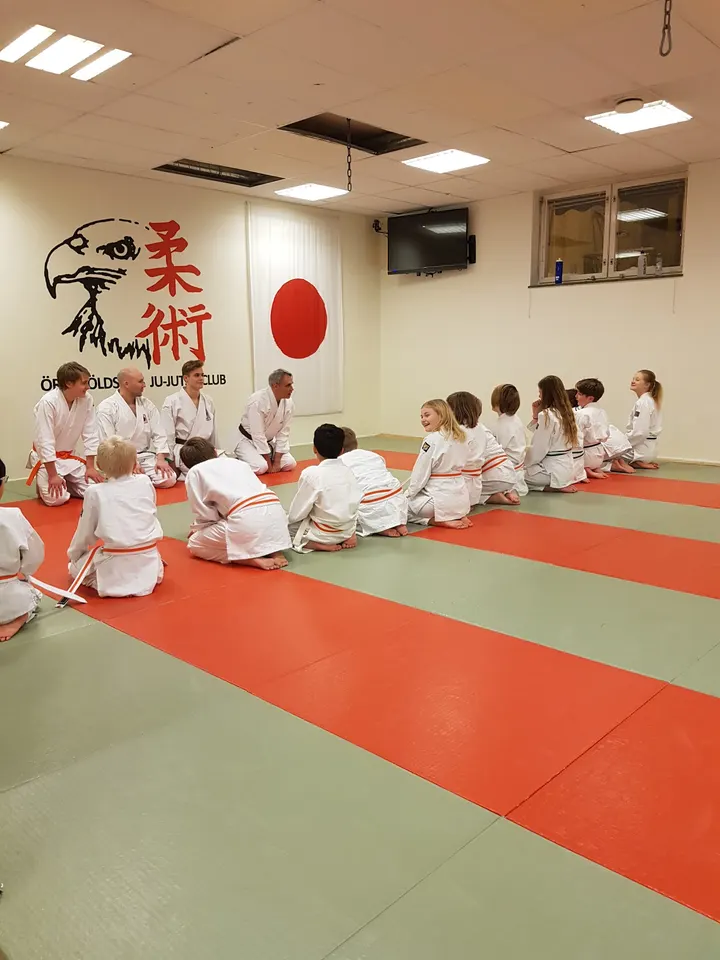 Bjästa Ju-Jutsu Klubb — bjj-studio i Sörsvedje, Bjästa — 2