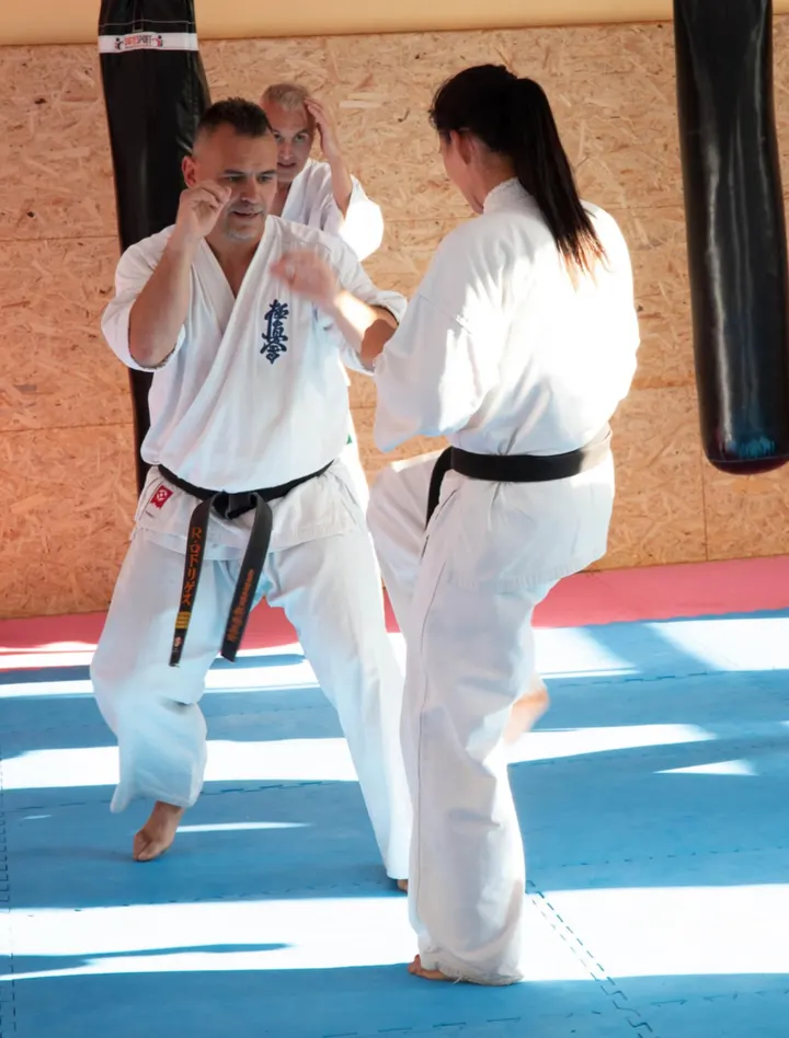 Kaiten Dojo — artes marciales-studio en Varea, Logroño — 3
