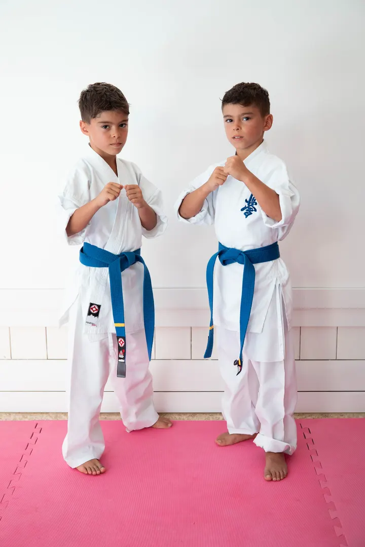 Kaiten Dojo — Artes marciales en Varea, Logroño