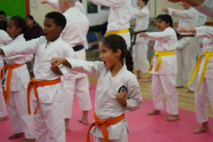 Oxford Karate Academy — Martial Arts in Peachcroft, Abingdon