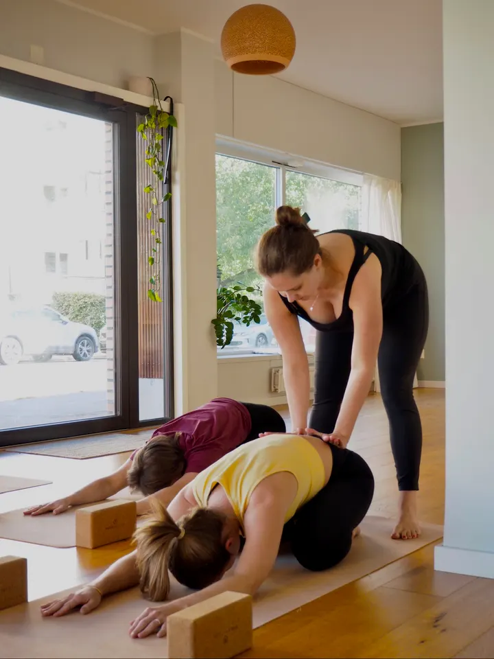 Sanctuarium Yoga og Meditasjon Oscar Pablo Palacios Garrido — yoga-studio i Oslo — 5