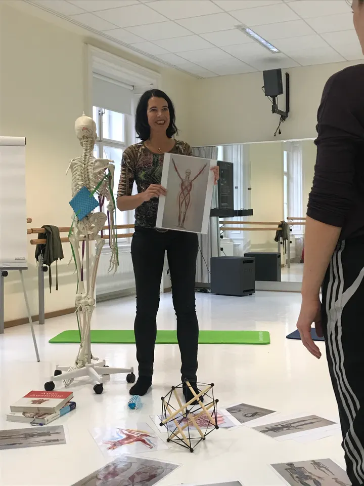 Chladek Tanzsystem — tanz-studio in Saarbrücken — 3