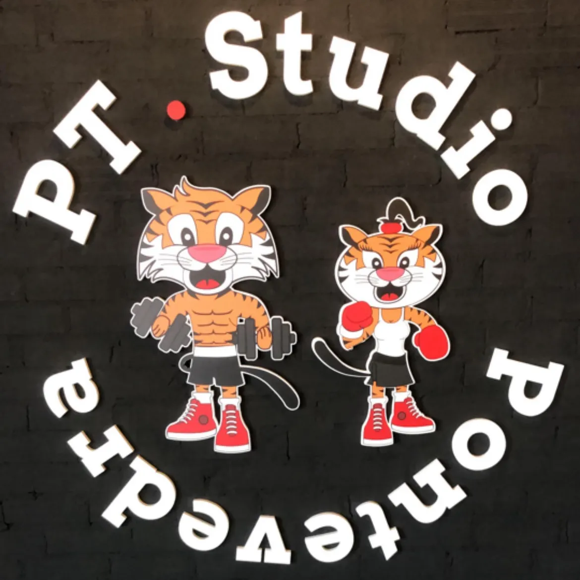 PT.Studio Pontevedra — entrenamiento personal-studio en Pontevedra — 5
