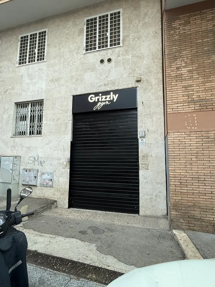 Grizzly Gym — Palestre a Municipio Roma XIII, Roma