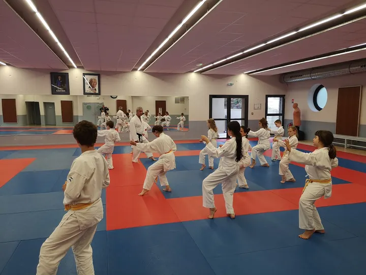 karate Saint-Estève — arts martiaux-studio à Mas de la Garrigue, Saint-Estève — 2