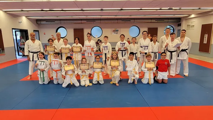 karate Saint-Estève — arts martiaux-studio à Mas de la Garrigue, Saint-Estève — 3