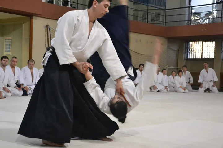 Centro Formativo Arti Marziali Modena — Arti marziali a Crocetta, Modena