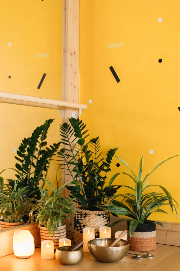 Elevate Yoga Studio — yoga-studio in Southville, Bristol — 2