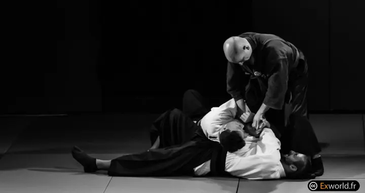 KoKoDo JuJutsu Bagnolet — jjb-studio à Paris — 6