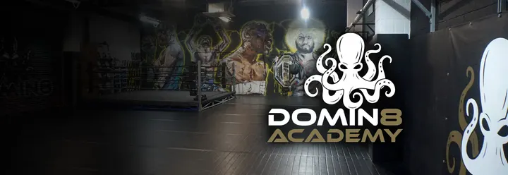 Domin8 Academy — Boxing in Handsworth, Birmingham