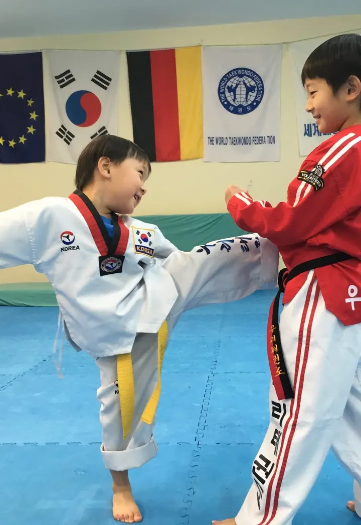 Taekwondo Akademie Heidelberg h-Life GmbH — Martial Arts in Pfaffengrund, Heidelberg
