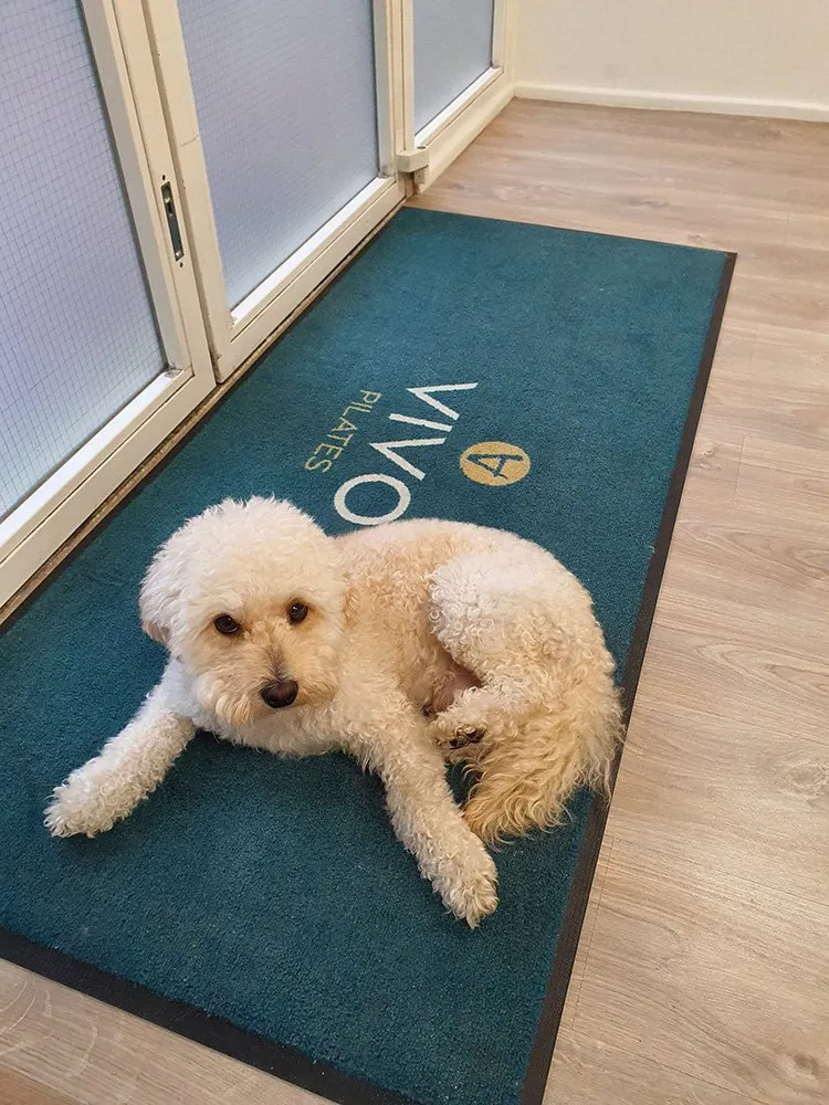 Vivo Pilates — reformer pilates-studio in Southfields, London — 3