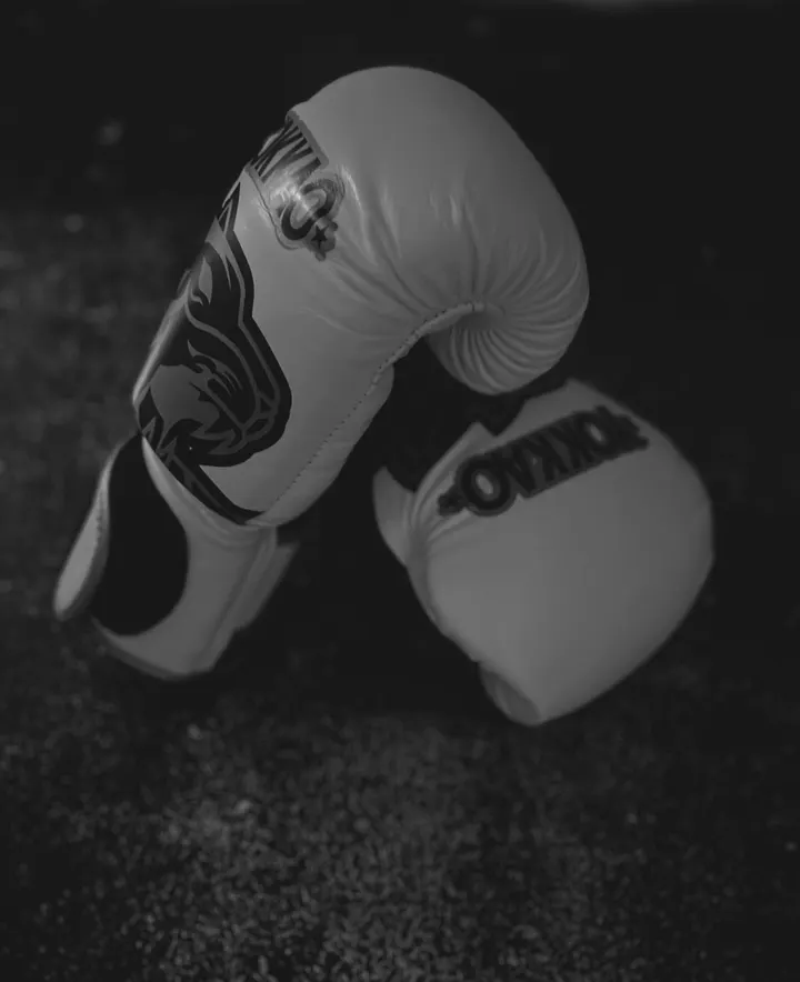 Hørsholm Thaiboxing — kampsport-studio i Åsen, Hørsholm — 2