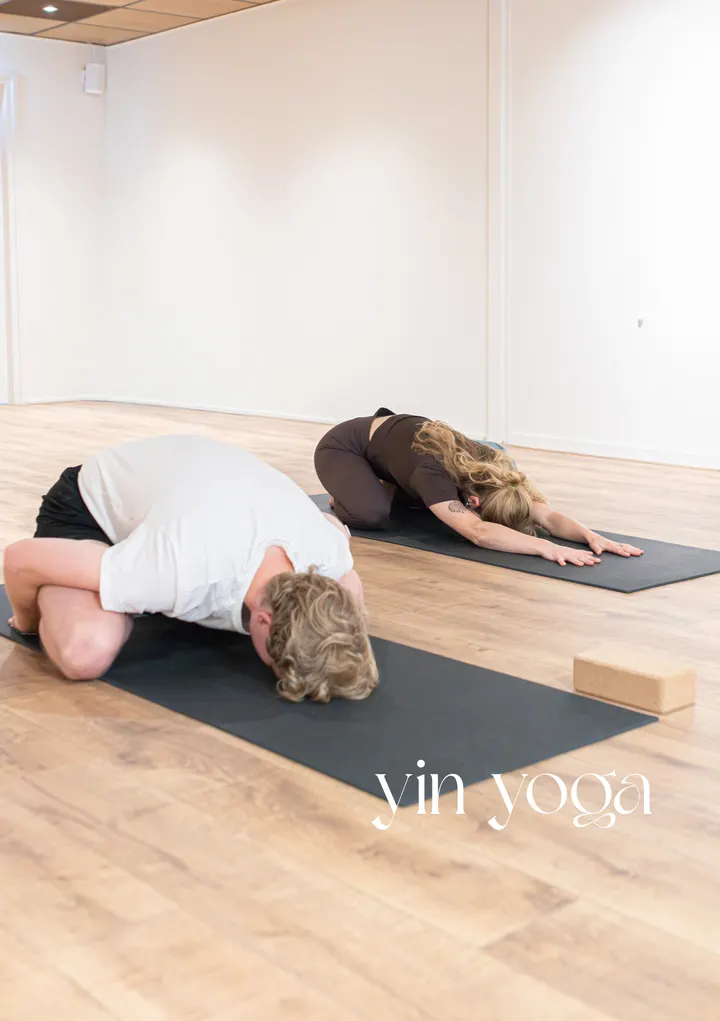 Yoga met Sanne Stiens — yoga-studio in Centrum, Stiens — 3