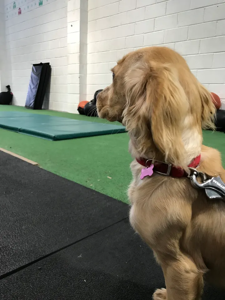 Outcast — fitness studio in Swansea — 3