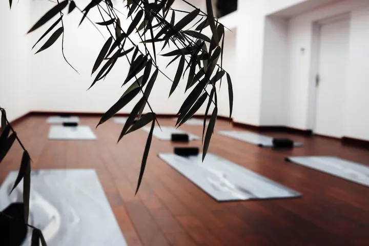 Les Yogis — yoga-studio à Lille-Centre, Lille — 2