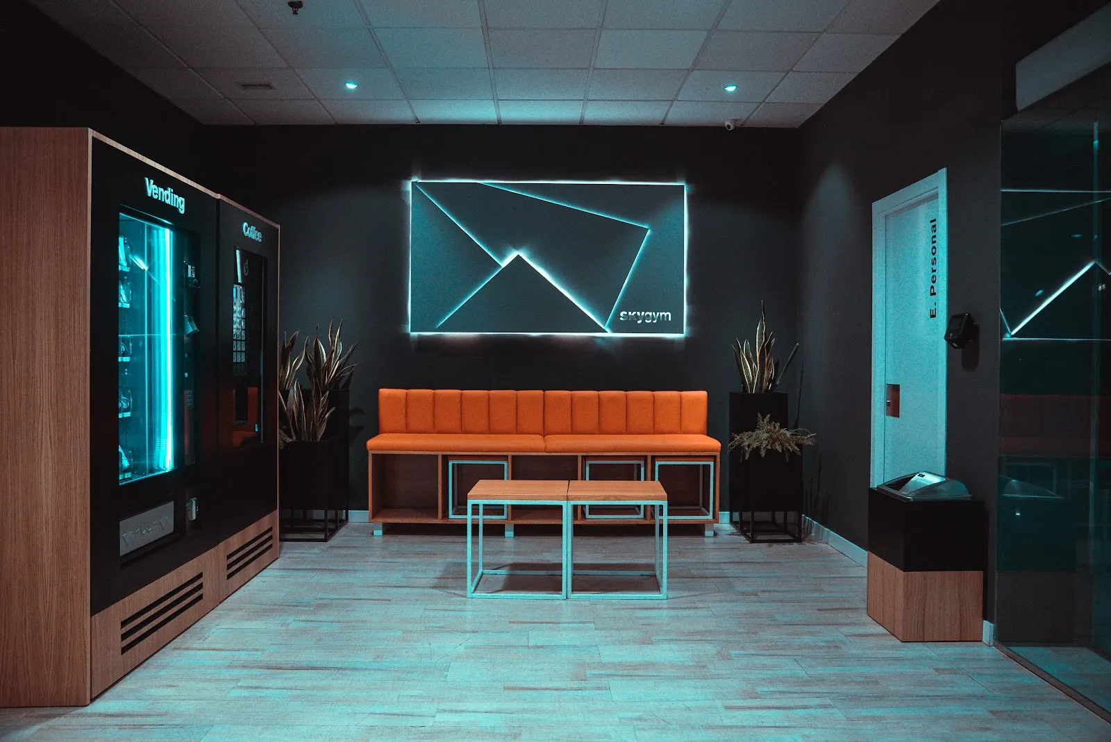 Skygym Alcorcón — estudio de fitness-studio en Alcorcón — 3