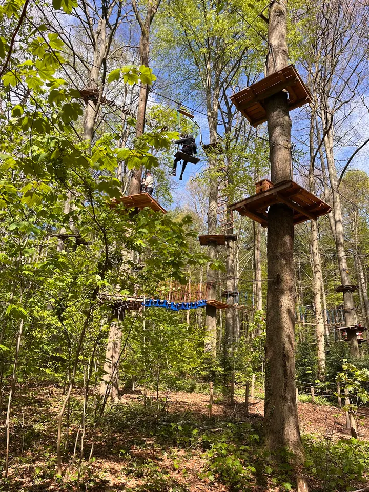 Kletterwald Aachen — Klettern in Aachen-Mitte, Aachen