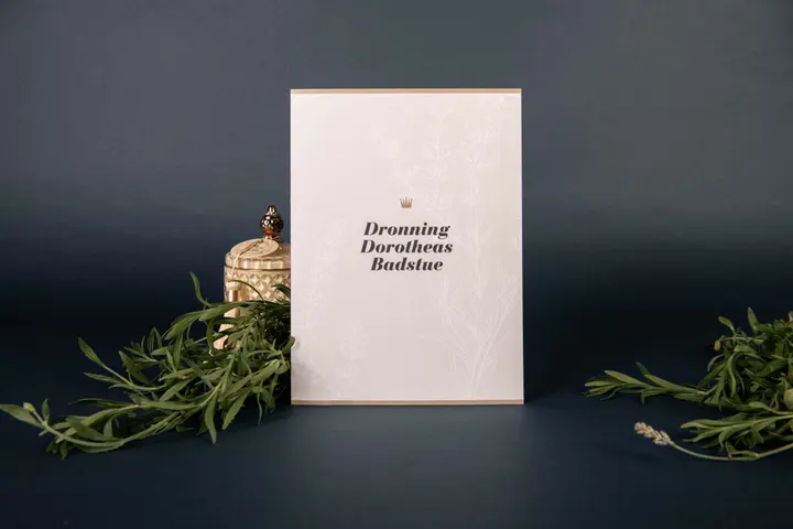 Dronning Dorotheas Badstue — wellness-studio i Kolding — 5