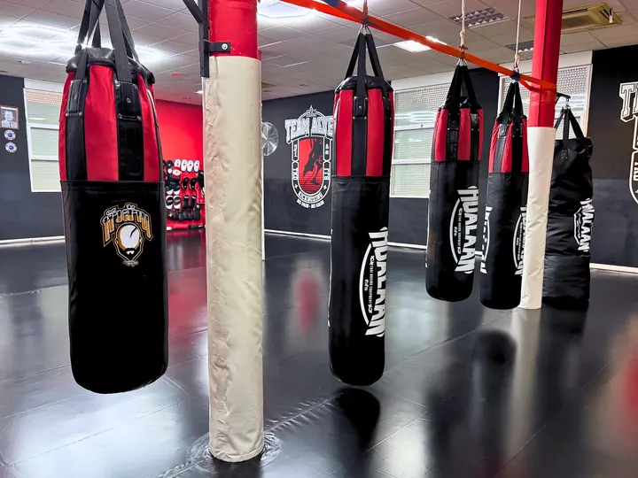 Team Alves — Artes marciales en Picarral, Zaragoza