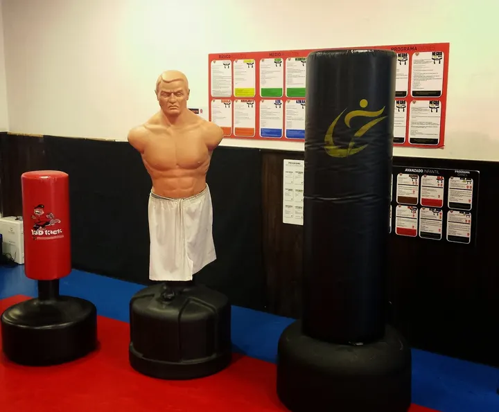 Mugen Academy S.L. — artes marciales-studio en Bilbao — 4