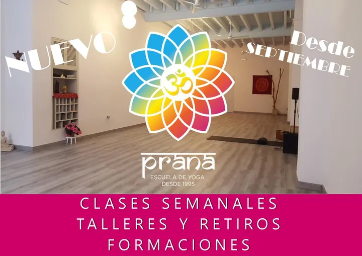 Prana Escuela De Yoga — yoga-studio en Alicante — 2