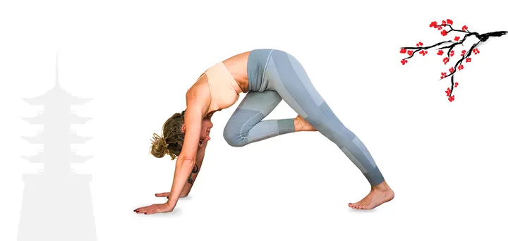 Damalimia Yoga&Lifestyle GbR — yoga-studio in Leimen — 2