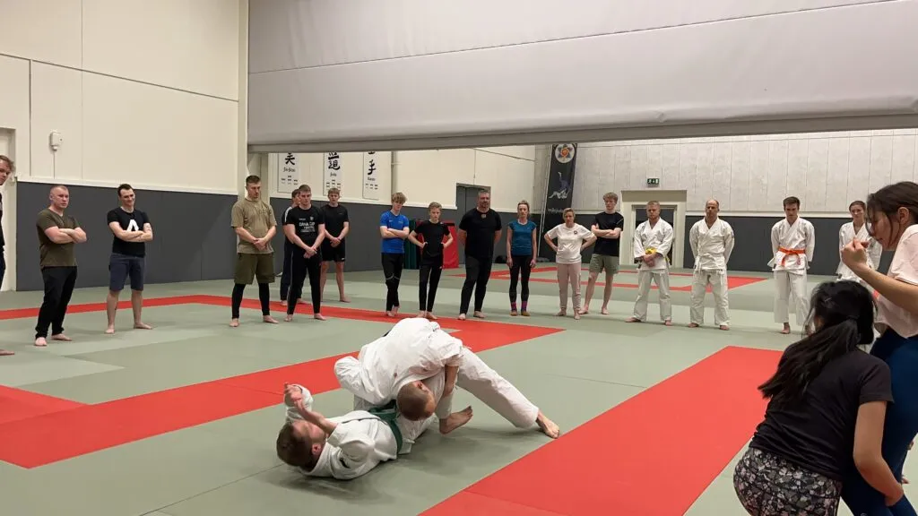 Vejle Jiu Jitsu Klub — kampsport-studio i Uhrhøj, Vejle — bild 2