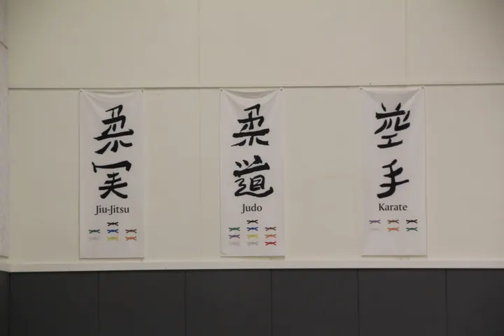 Vejle Jiu Jitsu Klub — kampsport-studio i Lille Grundet, Vejle — 3