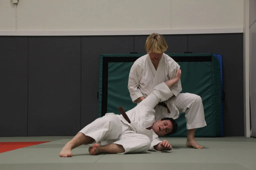 Vejle Jiu Jitsu Klub — kampsport-studio i Vejle — bild 4